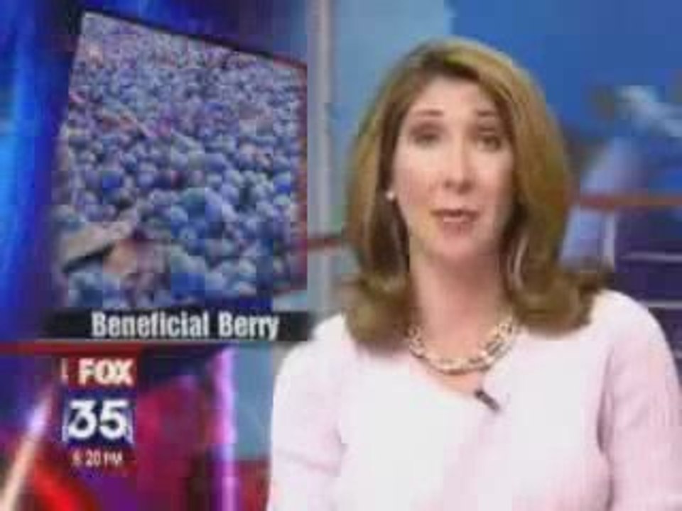 Prescription Weight Loss Pills - Diet Pill Review