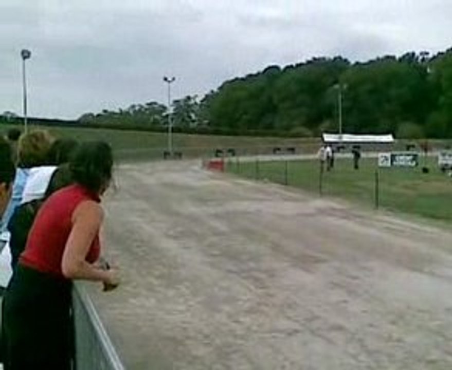 courses de chiens aujourd'hui a maulevrier