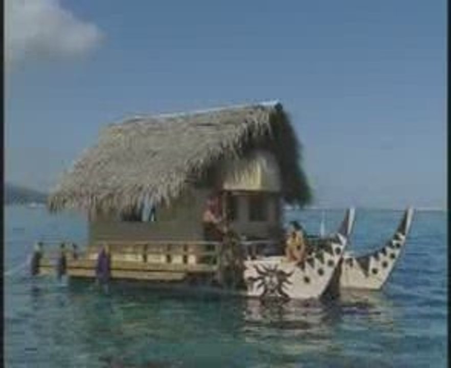 Vaimoanatea
