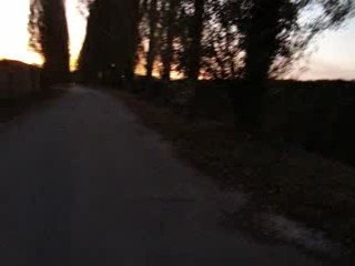 balade avec couché de soleil pour dak' et elixir