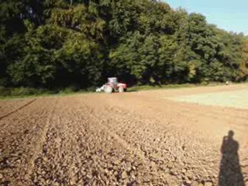 Préparation des terres à colza