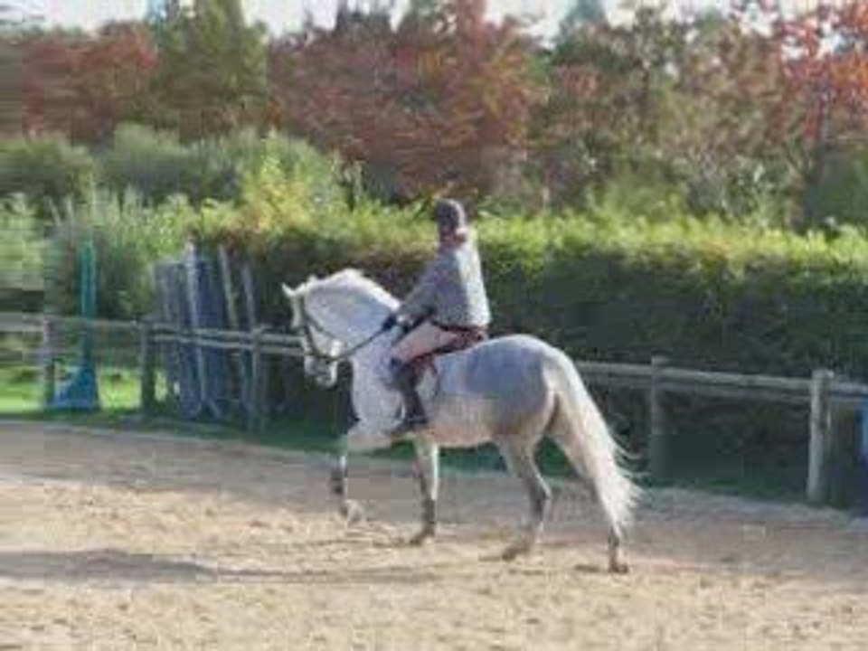 Onyx & moi galop