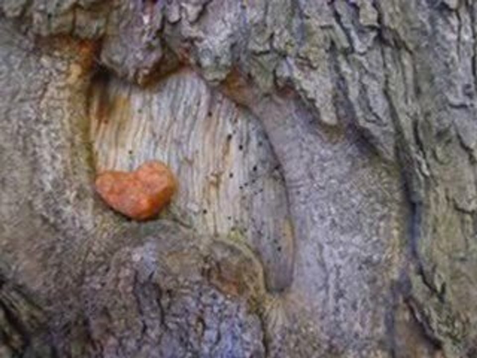 smutna piosenka o wierze miłośc i ukrywaniu jej