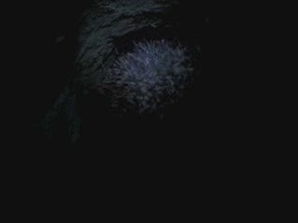 Hogi's Family - Igel Hogi gähnt