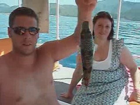 Puffer fish FINDING NEMO BOAT MARMARIS ICMELER TURKEY