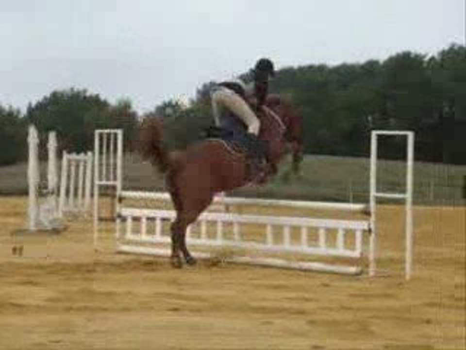 Séance d'obstacle le 10.10.09