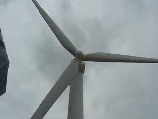 Aigrefeuille sur Maine : Nature en fête