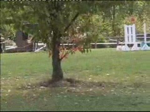 CCE Fontenay/Eure Oct-2009 : Mickaël Cornuet et Lorel