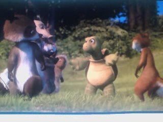 ZAMY l'écureuil fou