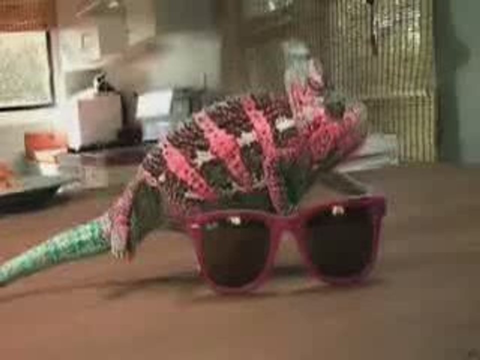 SUSE KAMELEON