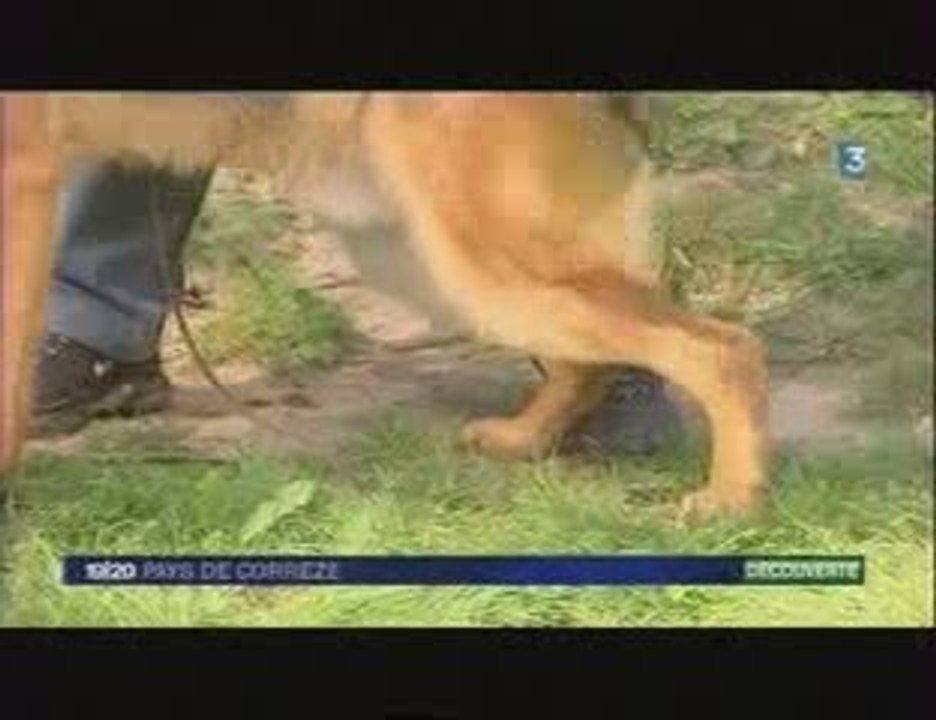 berger allemand france 3