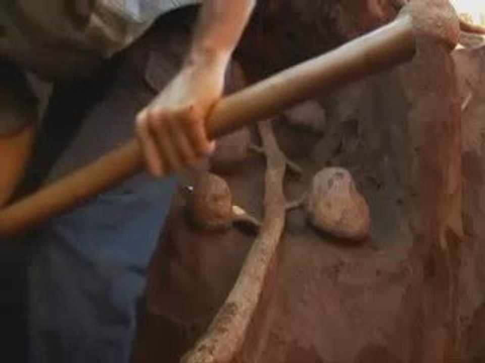 Karınca Yuvasına 10 ton çimento dökülürse