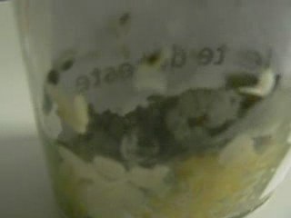 LLP Le pouvoir de l'eau