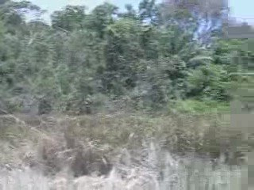 Banho de Lama