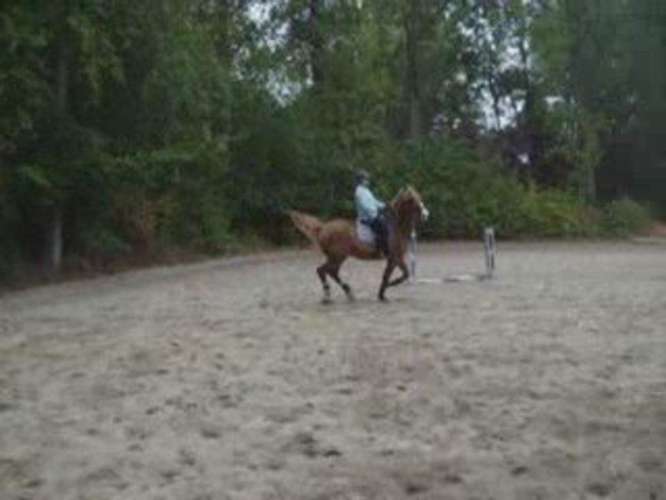 diego et moi