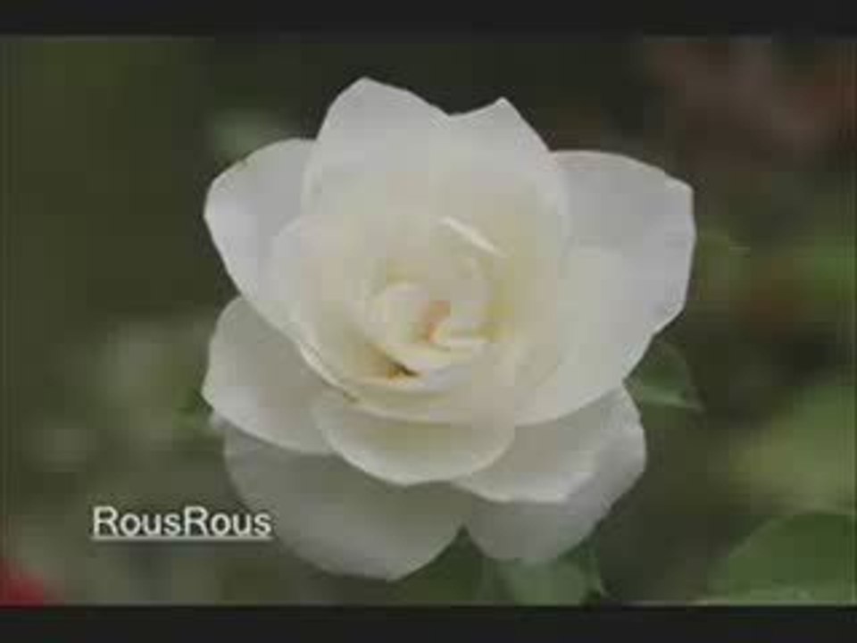 a09-nov6-II