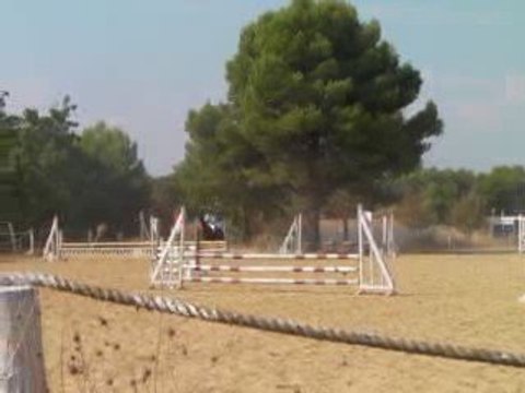 concour cso amandiers