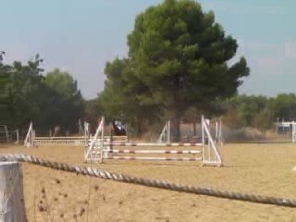 concour cso amandiers