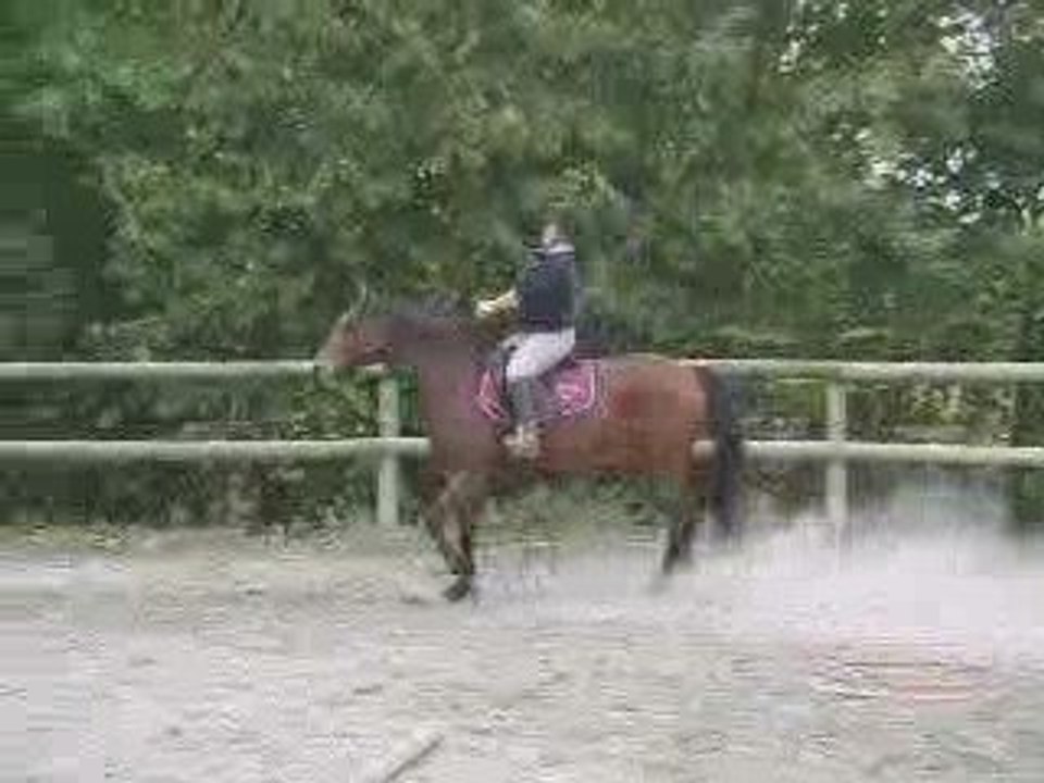 Marianne, Molly, essai side pull ter