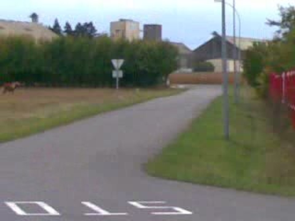 derbi 85 brk vs 206 rcc