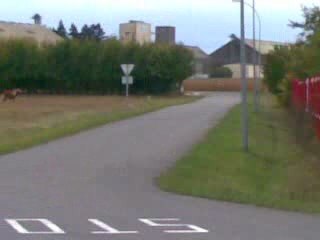 derbi 85 brk vs 206 rcc