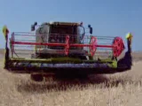 CLAAS MEDION 340 KANOLA BİÇİYOR 2009 YILI HASATI Part8...!!