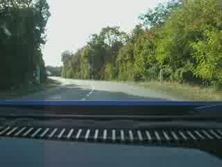 Alpine A310 sur les routes de Crastatt