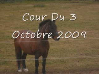 Moi Et Gregor 4ème Cour