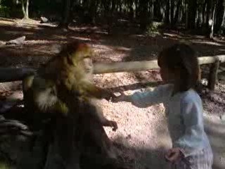 eloise feeding a monkey