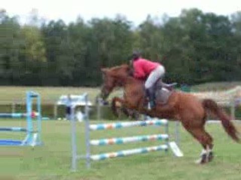 Concours Etrier Ardennais (4 octobre 2009)