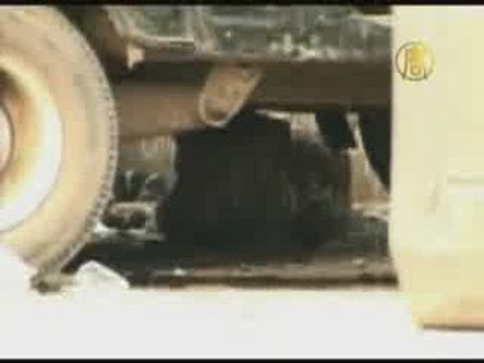 Leopard Strays into Mumbai Residential Area