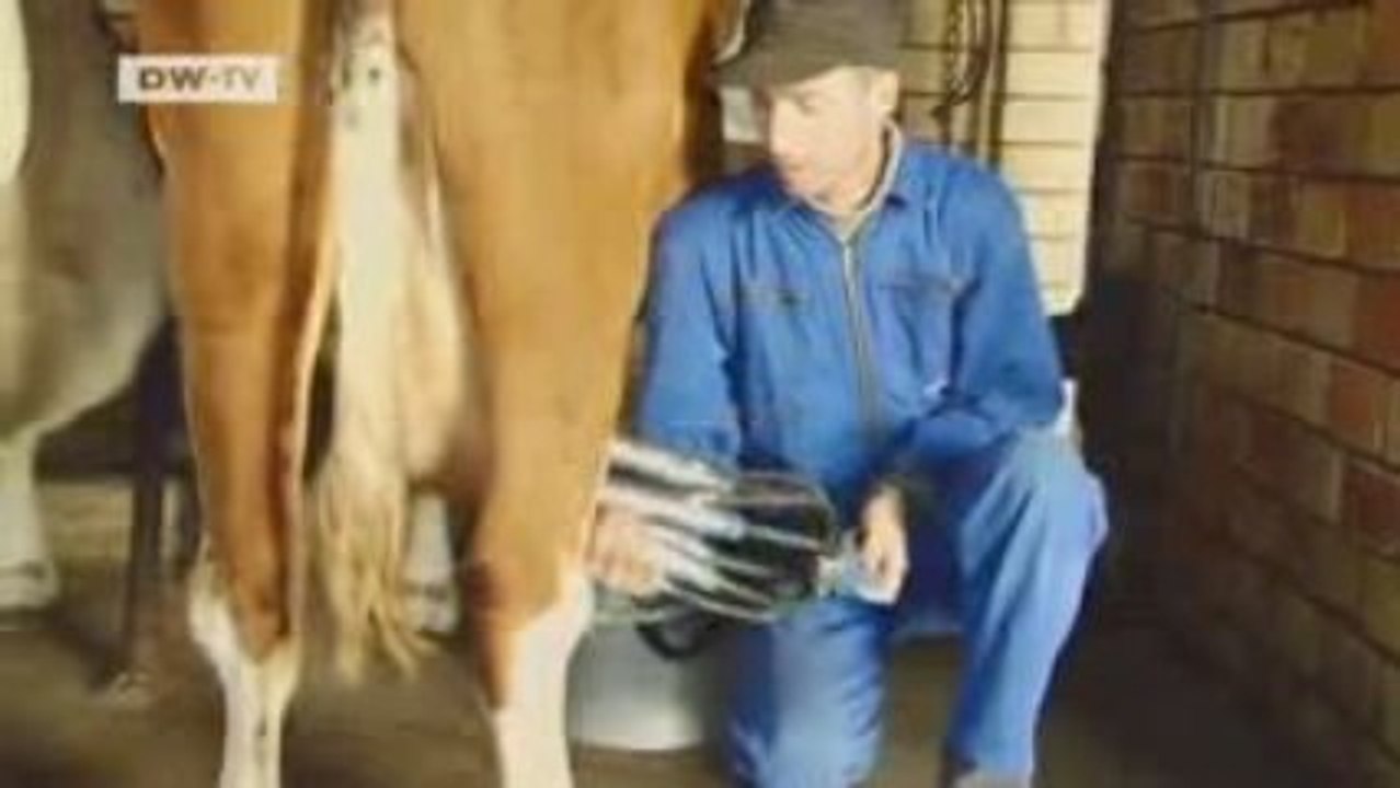 Discover Germany | Recommended - Wadden Sea