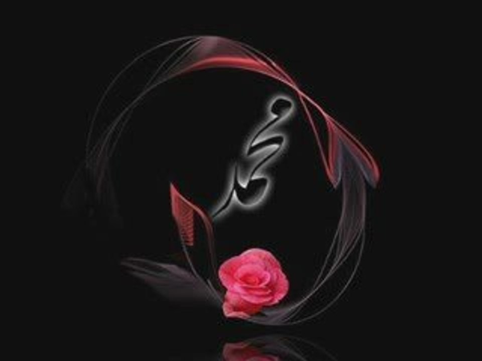 Mustafa Cihat-Sen Nerdesin