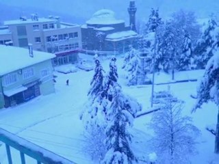 Adam Gibi Adam Olmak - Şiir ve Resimler