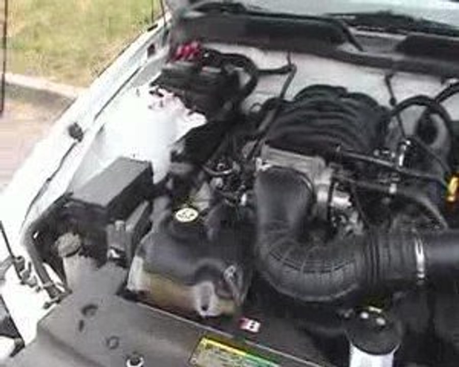 Ford Mustang GT coupé 2005 V8 4.6L 300ch white #349-240