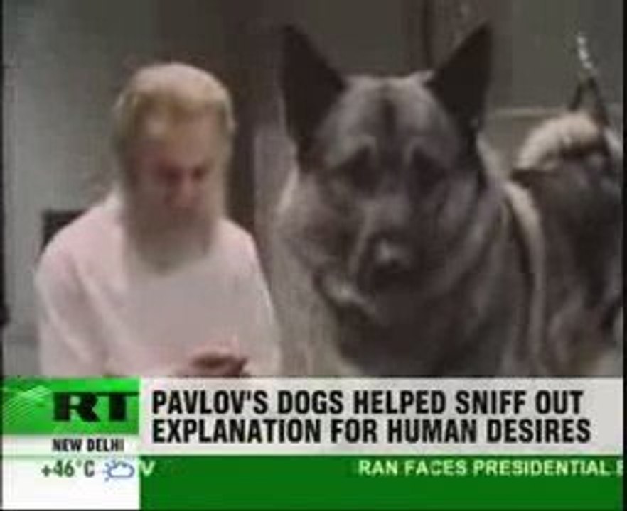 Pavlov's Dog Reflex Nobel Prize