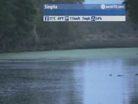 Kyiv - Ukraine, Hong Kong SAR - China, Udaipur - India, Singita - South Africa, Sydney - Australia, Nouméa - New Caledonia, Munich - Germany