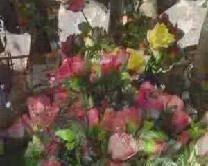 le marche de serignan -juillet 2009