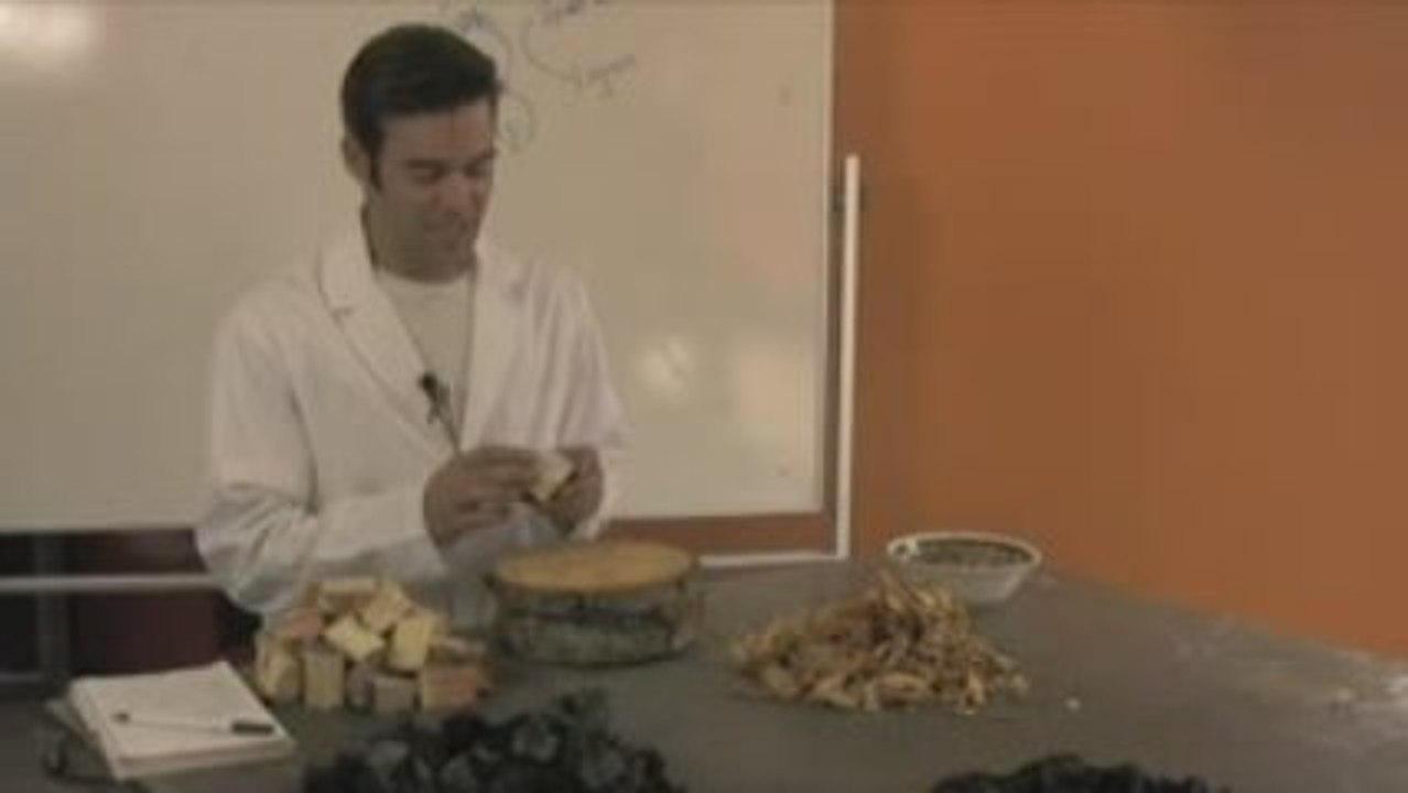 Biomass Energy Through Gasification