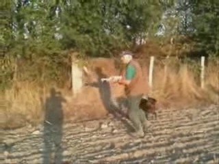 la chasse au lièvre