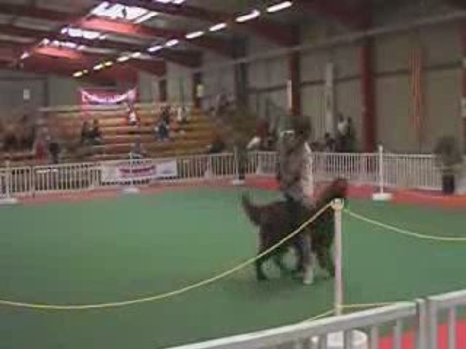 bouba au GPF obérythmée