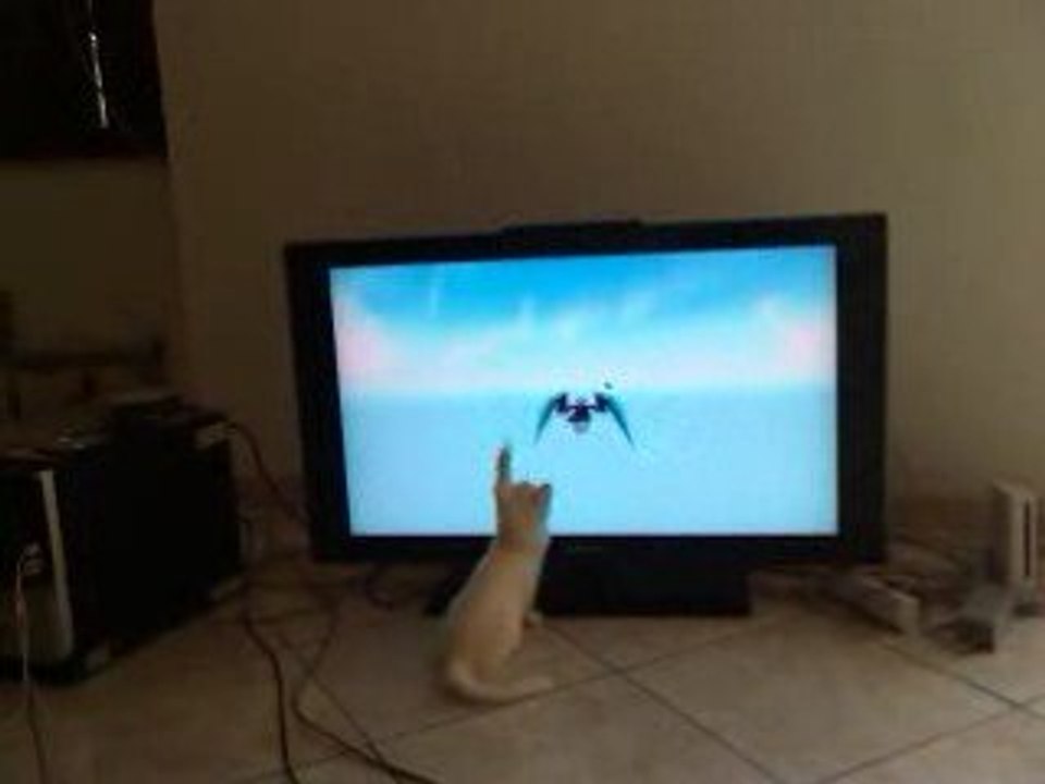 A la chasse au drake