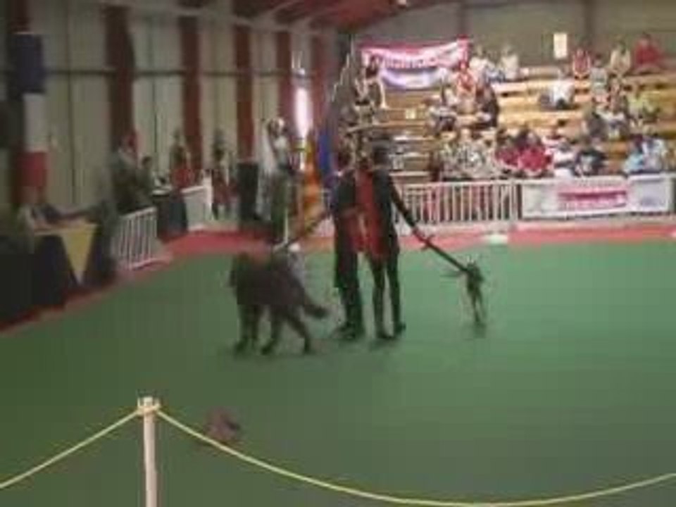 bouba et baly en duo au GPF obérythmée