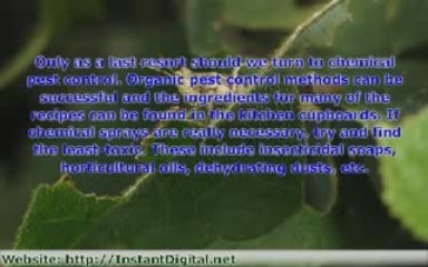 Do It Yourself Pest Control