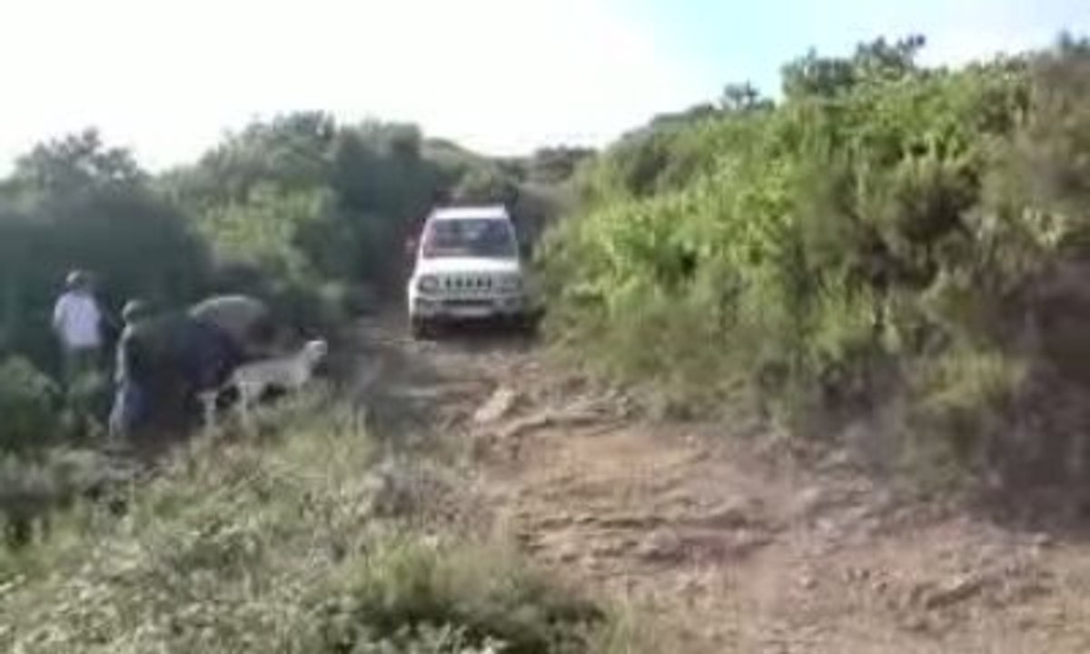 V041009_10.35