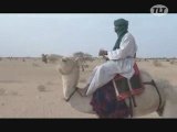 Imidiwan : Companions de Tinariwen (Musique)