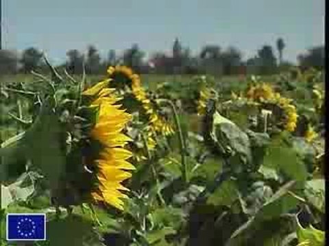 Avrupa Birligi Yenilenebilir Enerji Planlari