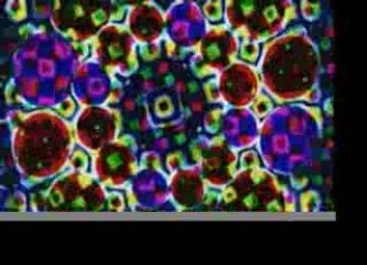 Kids Video | Kids Songs | Silly Bus - Earth and Sun