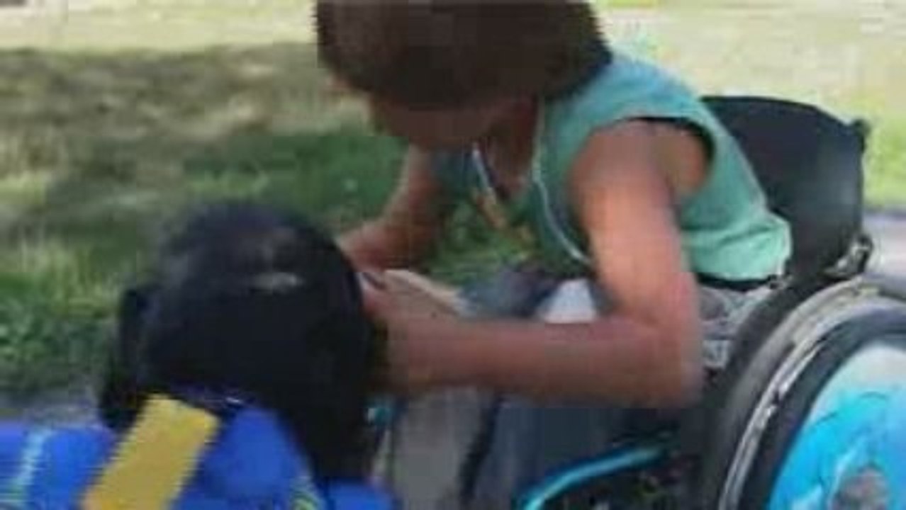 Handi'Chiens a 20 ans !