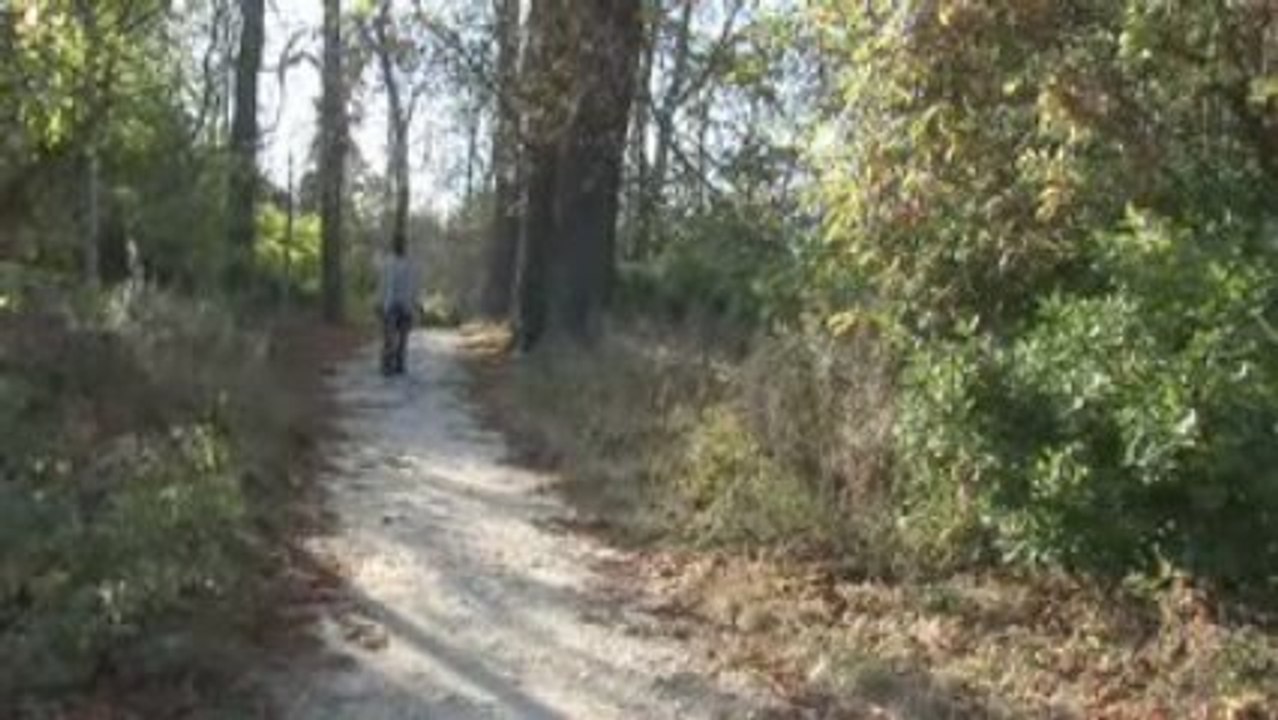 San Lluis Simplement